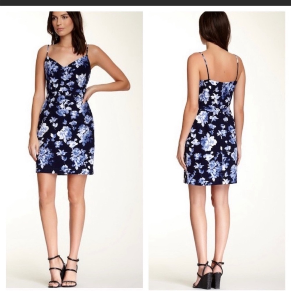 NWT Joie Orchard Floral Dress - blue/white